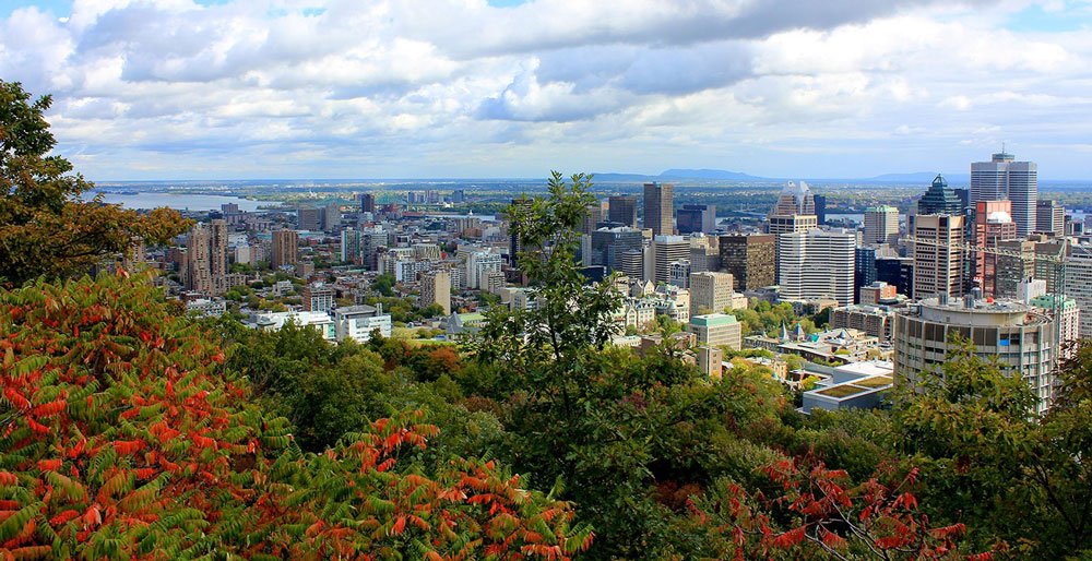 Ditch the traditional single-distribution learning and soak up some fresh perspectives in Montreal this summer! 🌞Join us at #CoLLAs2023 from August 22 to 25. See you where non-i.i.d. learning meets poutine! 🧠🍟 Register here: lifelong-ml.cc