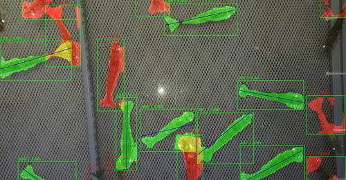 Neuro_SYS's tweet photo. Wondering how #AI can enhance #shrimpfarming? The #MonitorShrimp project illustrates its potential brilliantly. Findings? 95% accuracy in monitoring shrimp health in land-based #aquaculture. @AWI_Media #oceanloop #sandergroup 
Read more below:
https://t.co/3PBH3UD6QY https://t.co/RLOYmgFlsT