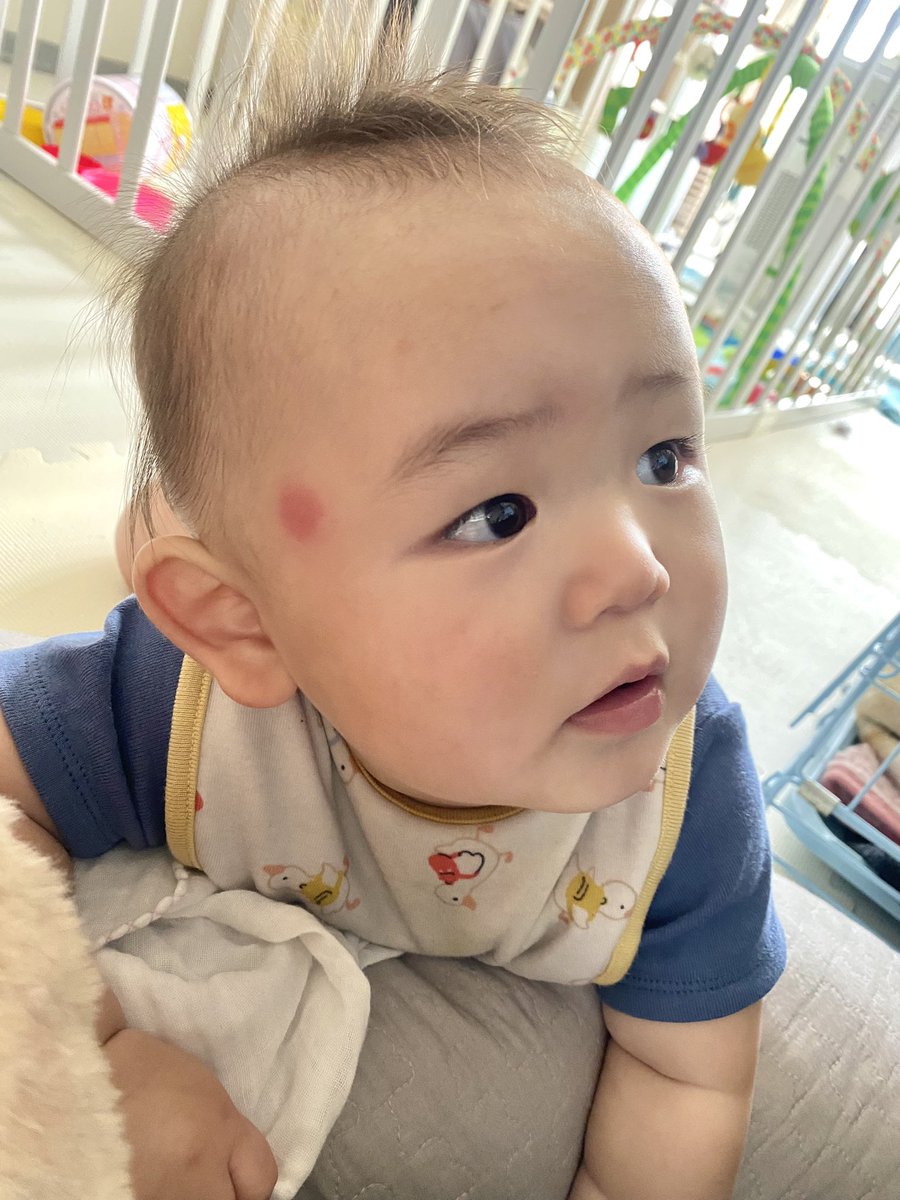 comani_rita's tweet photo. 坊ちゃんはジャパネットたかためっちゃ観てたし、コマちゃんはひとりでボール取られないようにしてました。平和だね〜〜〜
あっ、坊ちゃん人生で初めて蚊に刺されてしまたみたいです👶🏻🦟経験値UP！夏だね〜〜〜 https://t.co/zhKvYGz3Qp