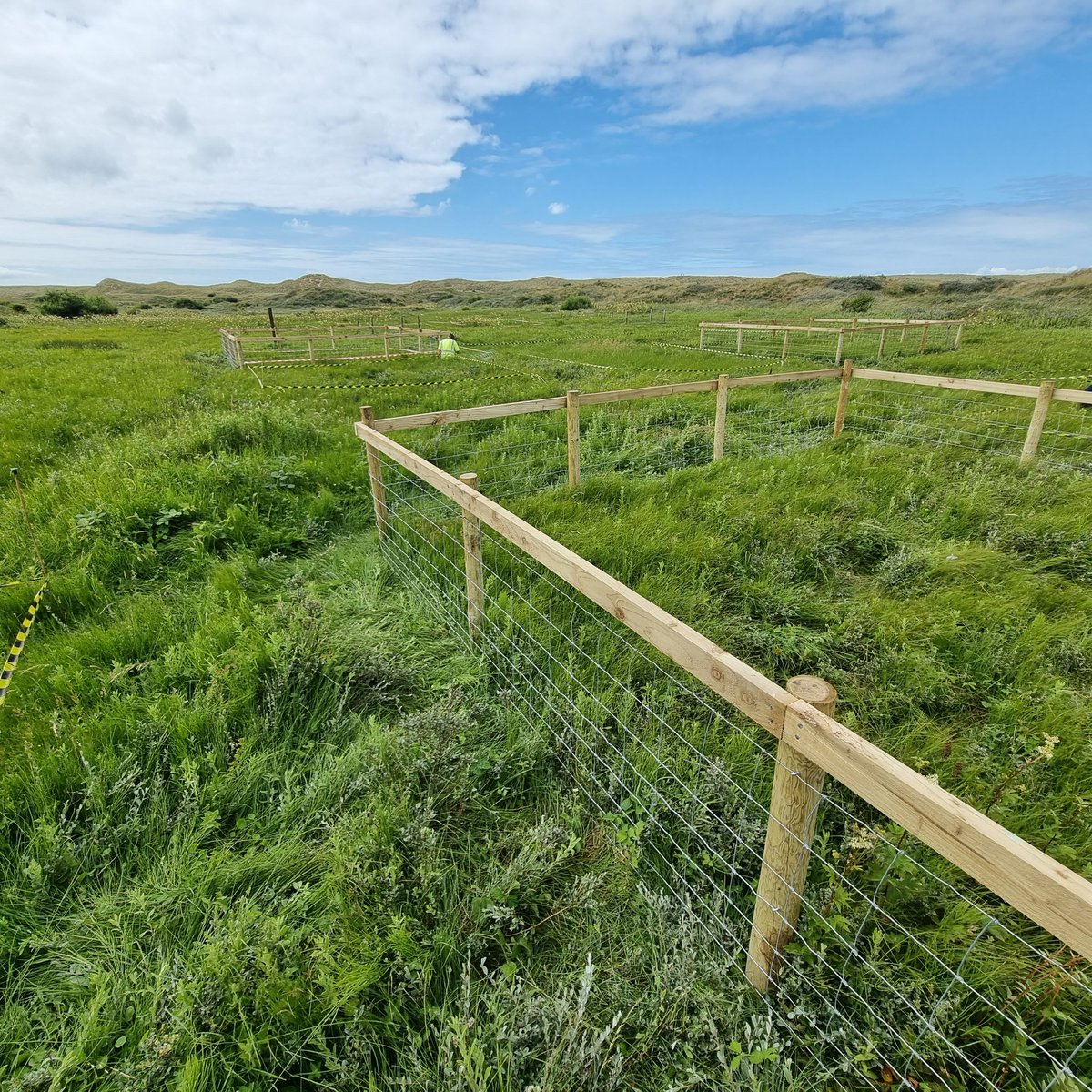 Dr Jonathan Millett (@drjonmillett) on Twitter photo Also, exciting new grazing exclosures co-located with our <a href="/DragnetGlobal/">DragNet Global</a> plots. Hopefully will be part of <a href="/NutNetGlobal/">Nutrient Network</a> and will link into our <a href="/ECT_UK/">Ecological Continuity Trust (ECT)</a> long term experiment plots. Also, exciting new grazing exclosures co-located with our <a href="/DragnetGlobal/">DragNet Global</a> plots. Hopefully will be part of <a href="/NutNetGlobal/">Nutrient Network</a> and will link into our <a href="/ECT_UK/">Ecological Continuity Trust (ECT)</a> long term experiment plots.