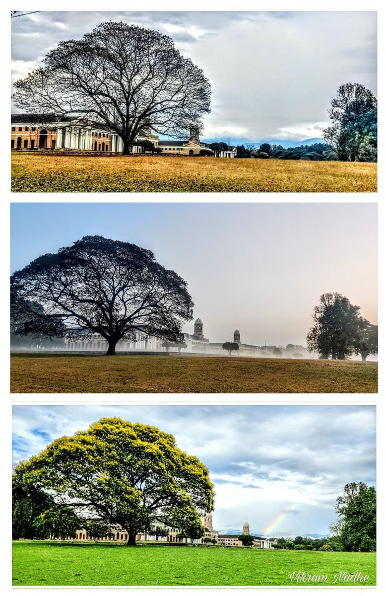 Each season brings it's own beauty and diversity.Seasons @ForestResearchInstitute Dehradun. @UttarakhandIFS @UTDBofficial @incredibleindia #seasons @IGNFA_GoI @wii_india