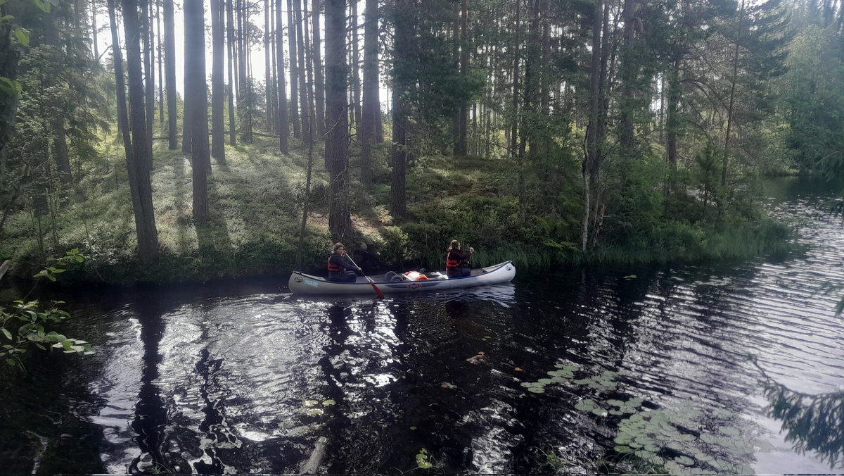 DofEWyedean's tweet photo. Gold expedition day 2 Svartalven. https://t.co/BumQi9Fnmg