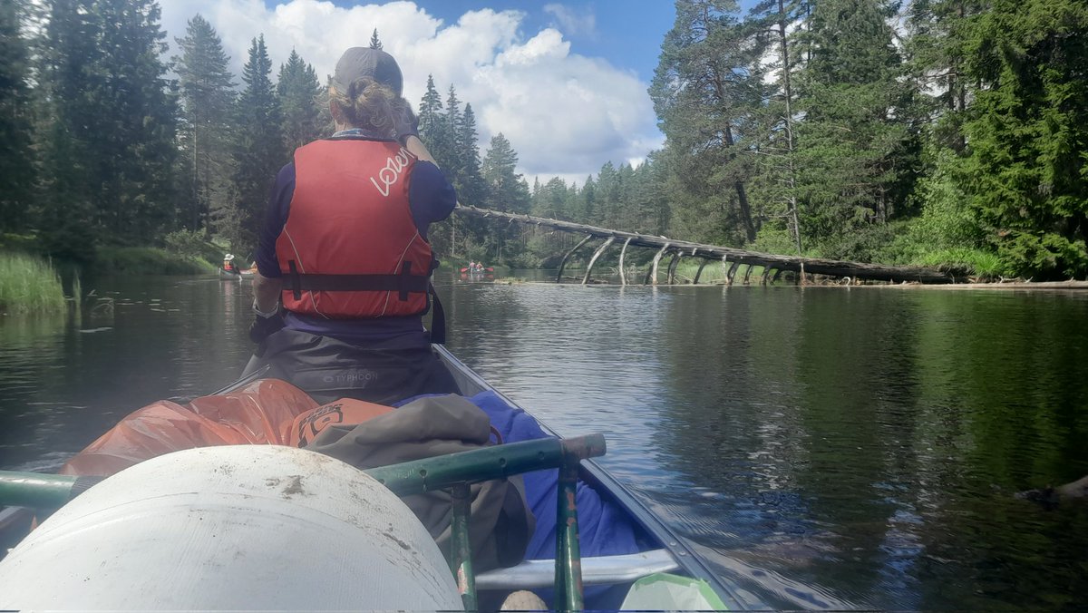 Gold expedition day 2 Svartalven.