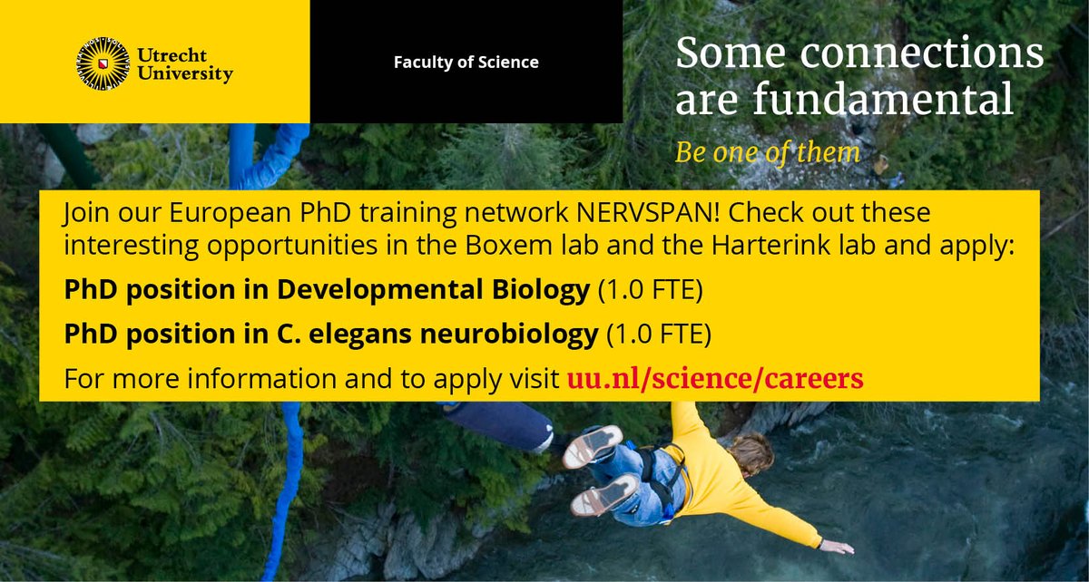 Want to understand how neurons acquire their axon-dendrite organization?

Come join my lab and be part of the european #NERVSPAN PhD training network.

uu.nl/en/organisatio…