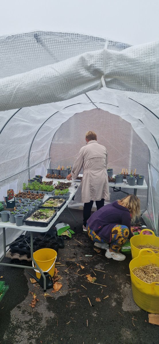 GcsGreenHwb's tweet photo. Fantastic work is taking place within communities thanks to live long learning &amp; @AlpSwansea and we @gcsgreenhwb @gowercollgeswansea have been fortunate enough to be part of this process, working down in the ARC centre in Blaen-Y-Meas. #community #greenskils #beforeafter https://t.co/3vJJzxy4ix