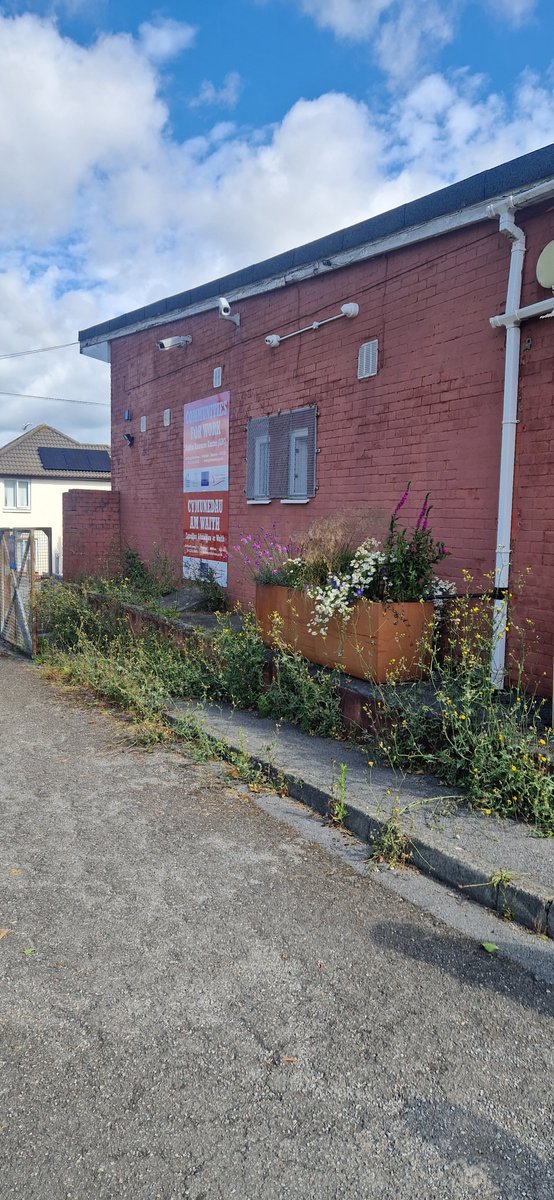GcsGreenHwb's tweet photo. Fantastic work is taking place within communities thanks to live long learning &amp; @AlpSwansea and we @gcsgreenhwb @gowercollgeswansea have been fortunate enough to be part of this process, working down in the ARC centre in Blaen-Y-Meas. #community #greenskils #beforeafter https://t.co/3vJJzxy4ix