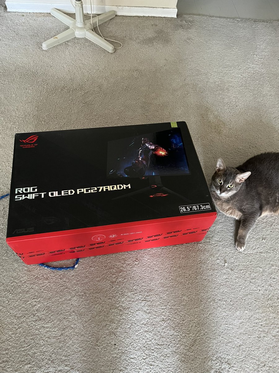 New monitor! 240hz OLED