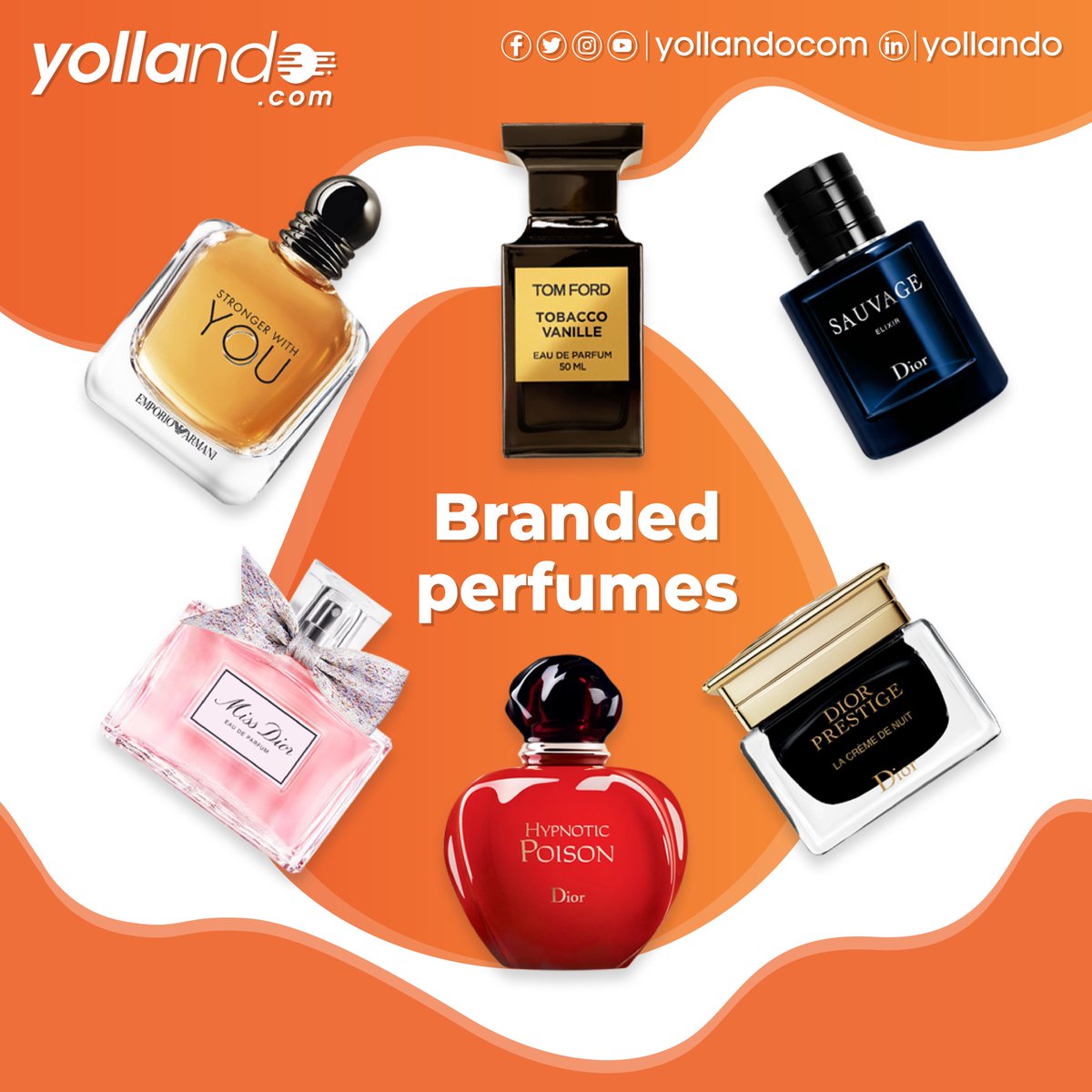 Uncover the Fragrant Treasures of Turkey 🌹🇹🇷 Shop Perfumes at the Cheapest, Unbeatable Prices!