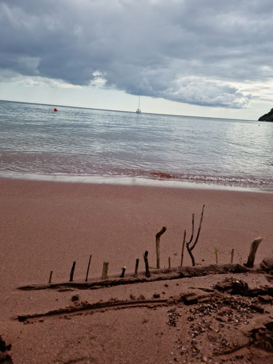 Today we've been at Oddicombe beach, getting creative with thinking about how we could measure and observe the outgoing tide. We did the age-old strategy of building miniature battlements and defenses to mark its path, noting down the time between the intervals.
#taleblazers