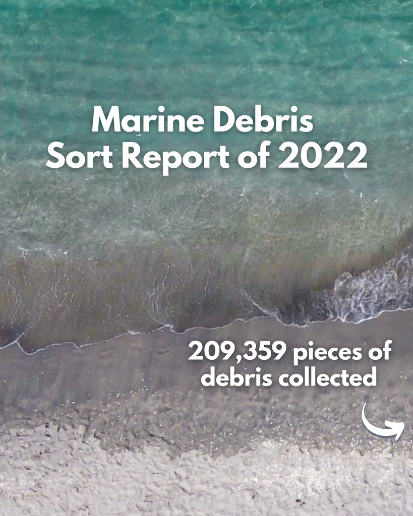 Loggerhead Marinelife Center tweet media