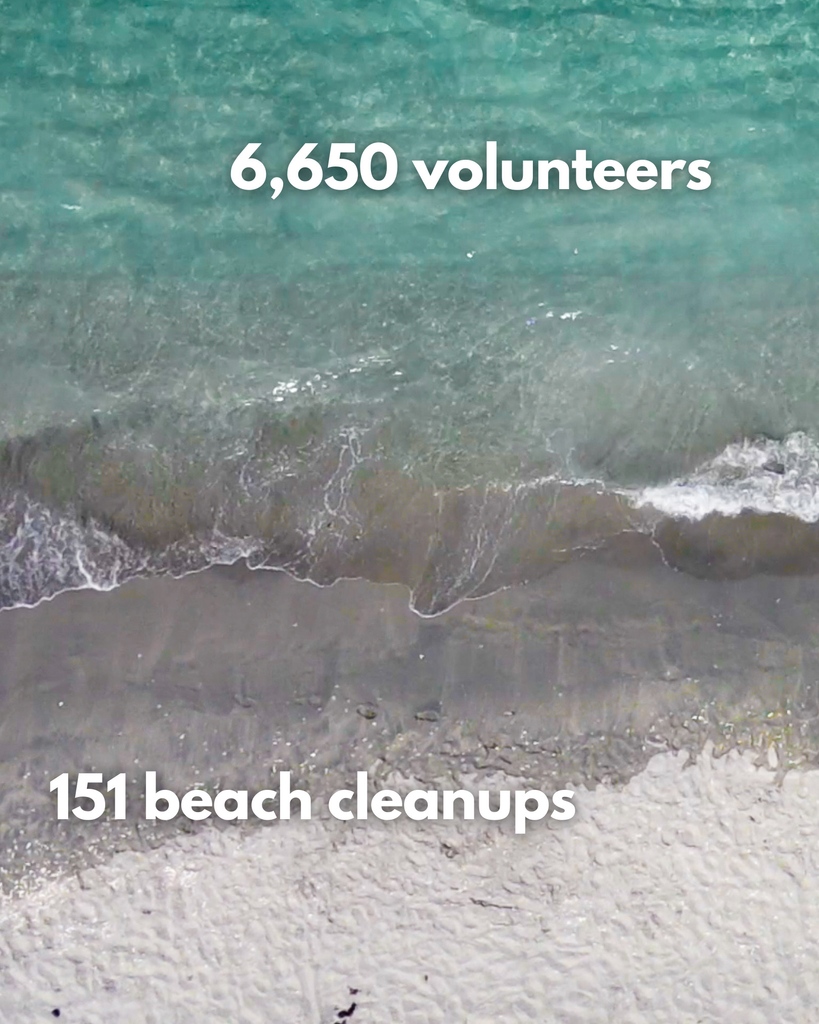 Loggerhead Marinelife Center tweet media