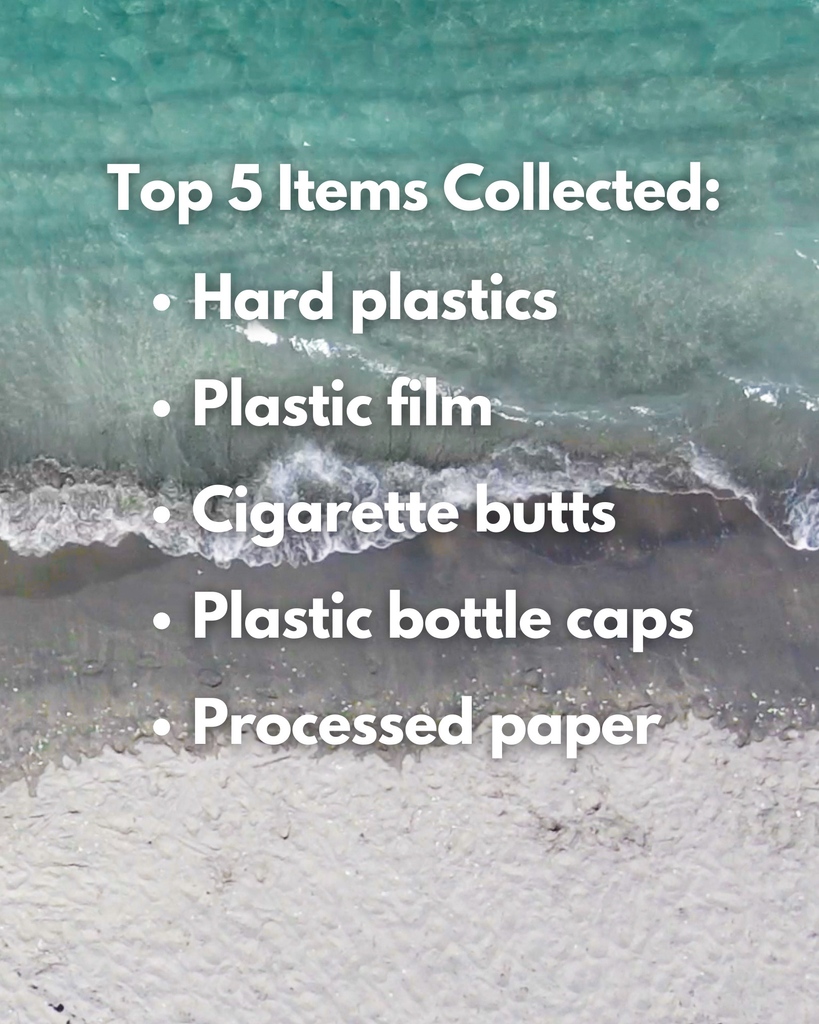 In 2022, Loggerhead Marinelife Center's beach cleanups collected a total of 209,359 pieces of marine debris. With 6,650 volunteers at 151 cleanups, over 87% of all debris collected were plastic material. LMC hosts weekly beach cleanups every Saturday morning starting at 8:30am.