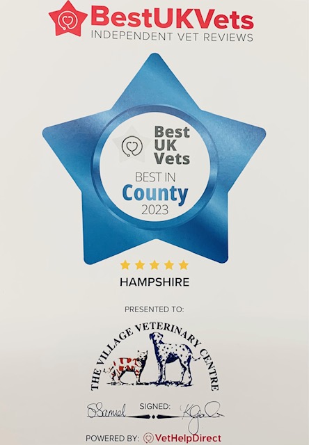 VillageVets ChFord tweet media