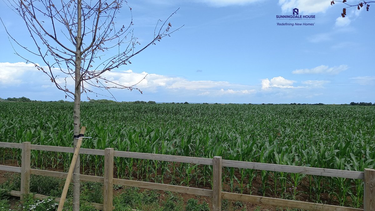 We're applying the final touches to our rather nice 'plot of the week' at St Nicholas-at-Wade, which sits on the very edge of acres of beautiful fields!
FIND OUT MORE NOW: sunningdalehouse.co.uk/news/new-plot-…