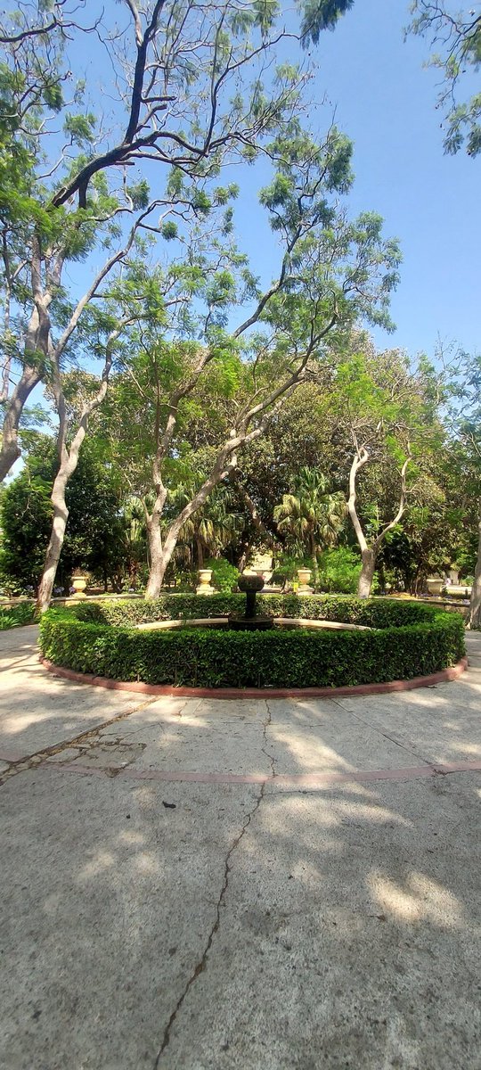 thomasgruff35's tweet image. Sant'Anton Palace Gardens - Ħal Balzan