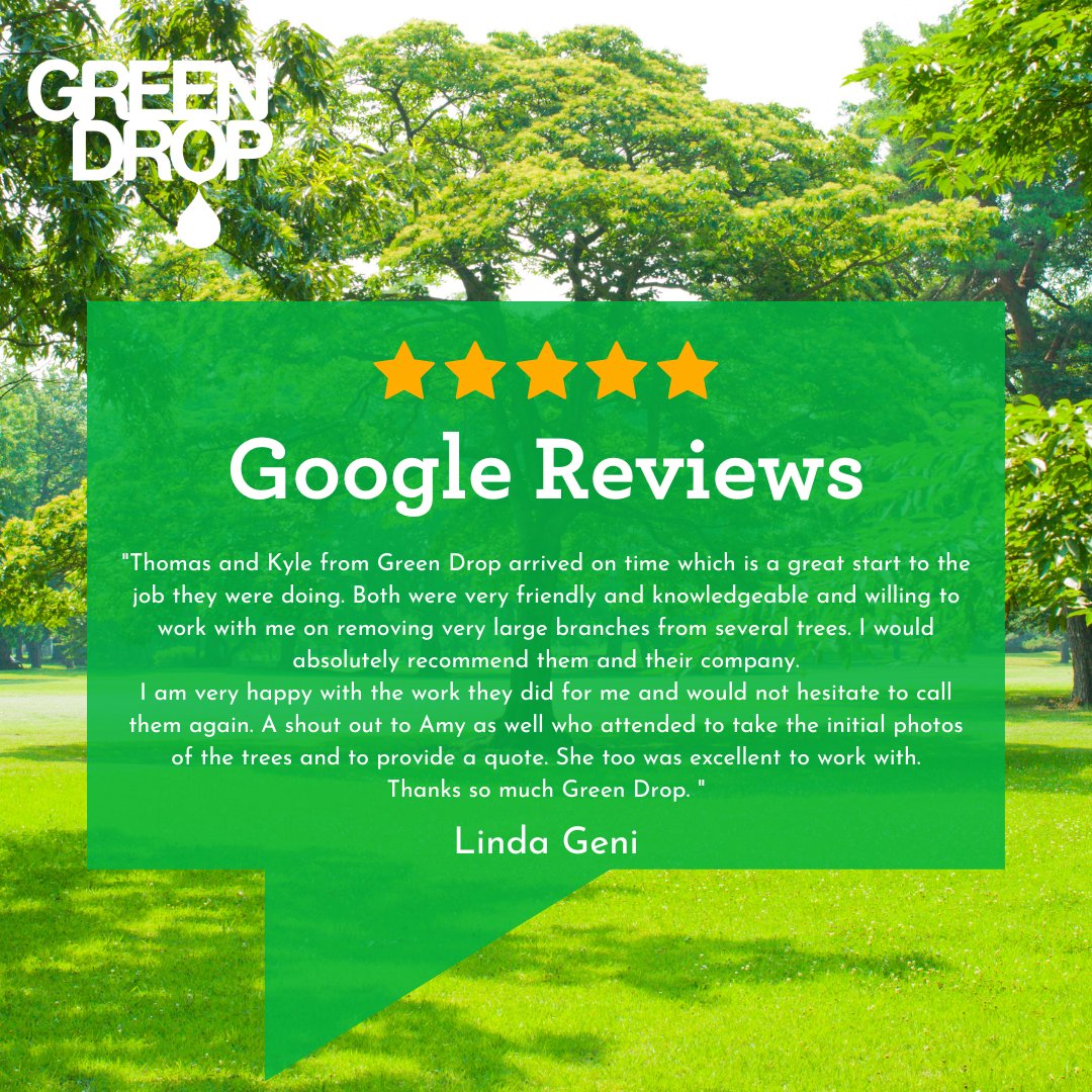 GreenDropTrees's tweet image. Wow! What a review! Keep up the excellent work, Thomas, Kyle and Amy! 👏  You all rock! Thank you for the kind review, Linda!  

#ItsBeautifulOutside #GreenDropTreeCare #TreeCare #FiveStarReviews #TeamGreen #TreeCareCommunity
