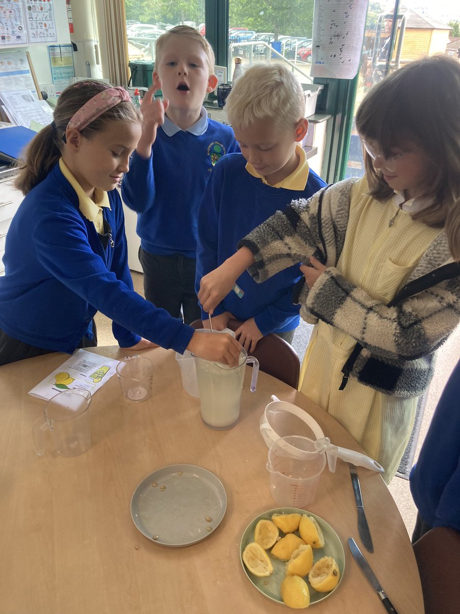 We’ve been preparing for summer by making homemade lemonade 🍋