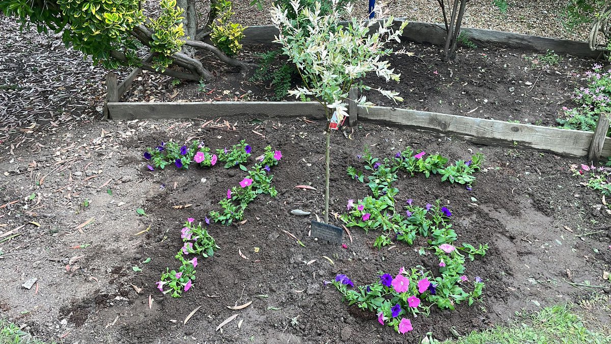 The Starlight Unit @ Wythenshawe (@starlight_rmch) on Twitter photo #NHS75 #rmch our lovely lead nurse Helen planting our flowers to celebrate 75years of the NHS <a href="/Starlight_RMCH/">The Starlight Unit @ Wythenshawe</a> #NHS75 #rmch our lovely lead nurse Helen planting our flowers to celebrate 75years of the NHS <a href="/Starlight_RMCH/">The Starlight Unit @ Wythenshawe</a>
