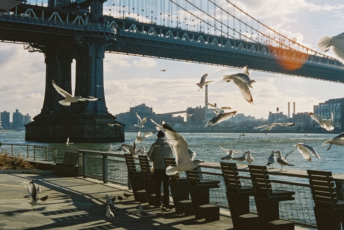 michaelboegl's tweet photo. New York on Film 🎞️ https://t.co/YhCXxyLqVR