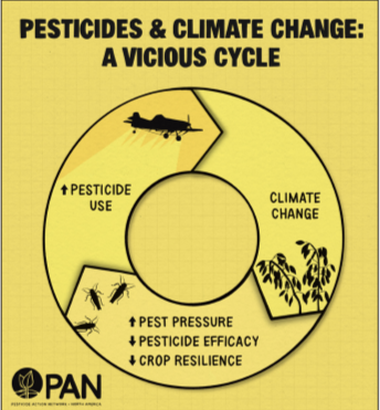 AnnaTurns's tweet photo. I have spoken to many farmers who wish they could escape the vicious pesticide cycle. With financial support, it's possible. With the climate crisis, it's essential. Read @PAN_UK's new report here: https://t.co/dBxn4baJpf #GoToxicFree https://t.co/CA1680f9zY