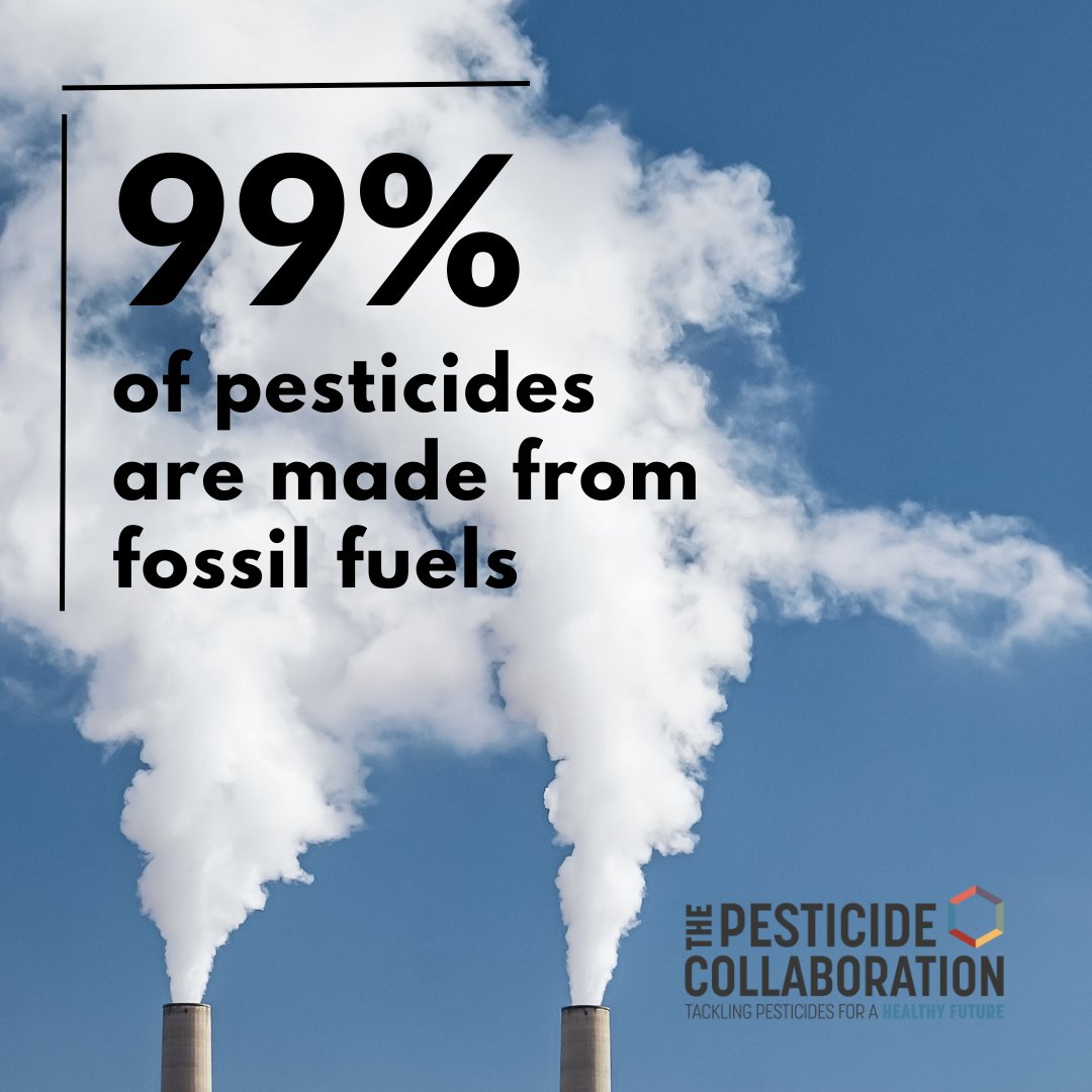 AnnaTurns's tweet photo. I have spoken to many farmers who wish they could escape the vicious pesticide cycle. With financial support, it's possible. With the climate crisis, it's essential. Read @PAN_UK's new report here: https://t.co/dBxn4baJpf #GoToxicFree https://t.co/CA1680f9zY
