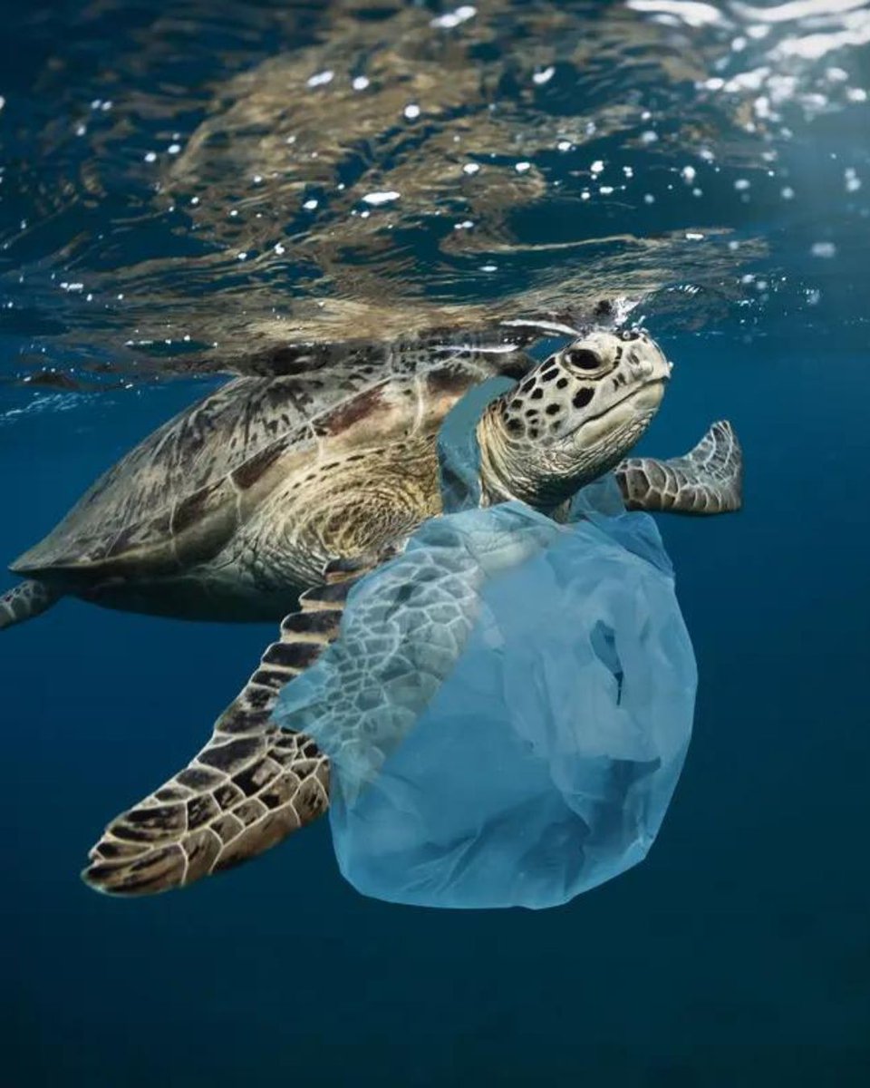 Hook Research tweet media