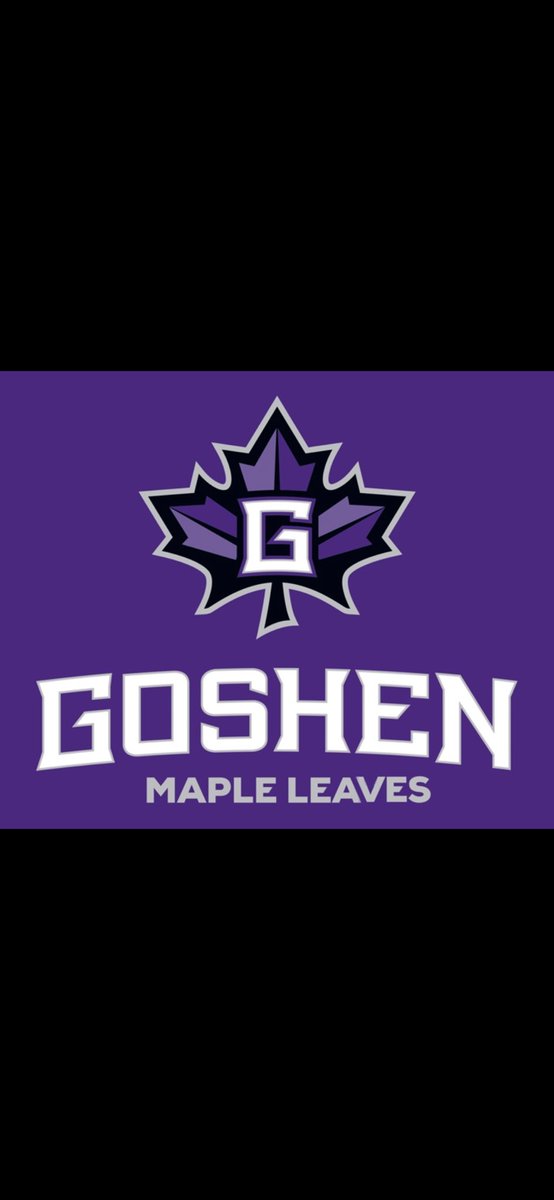 Go Maple Leafs!!! 🍁💜