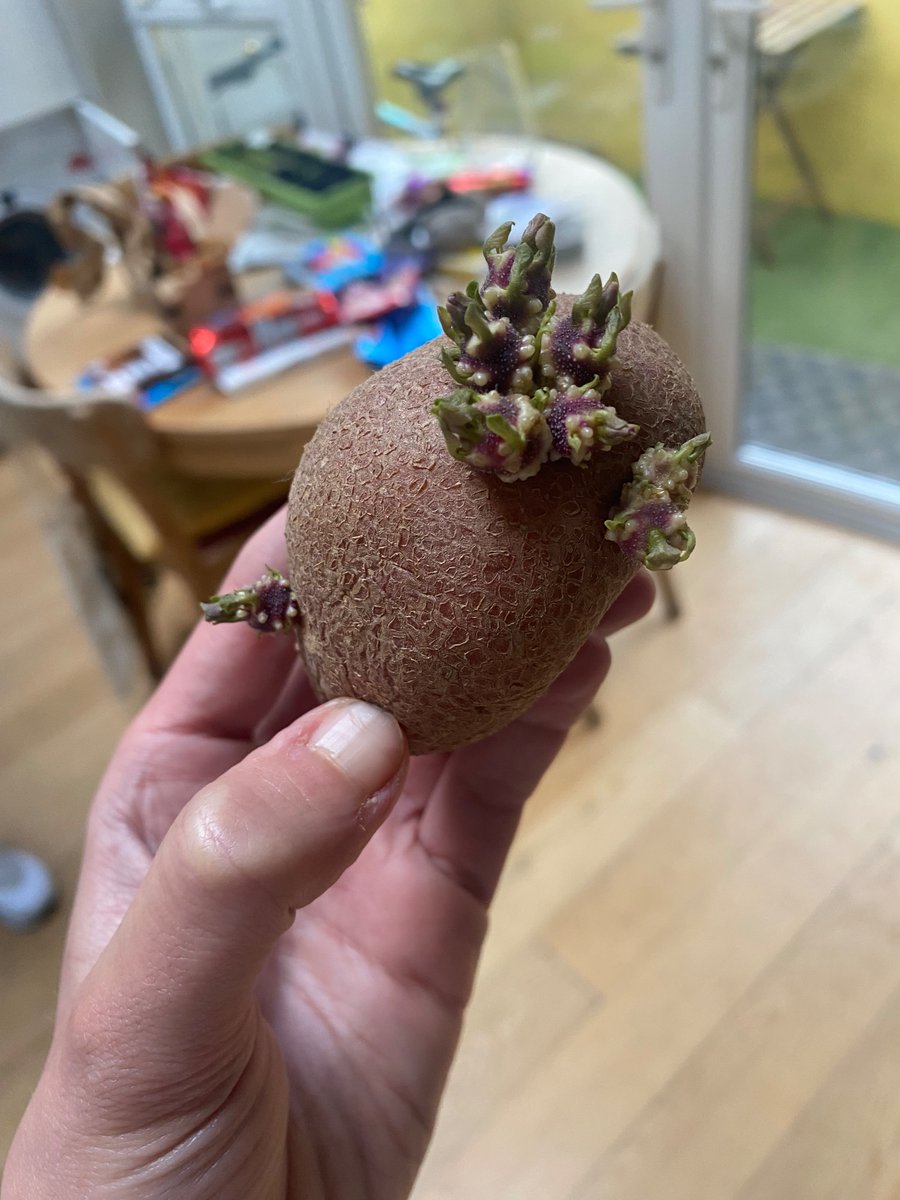 Brianna Parkins tweet media