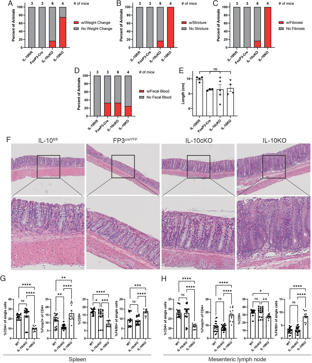 ImmunoHorizons's tweet photo. #NewinIH from @Cobbohydrates @goodmunologist @JulieyZhou @CWRUSOM 

Intestinal Tr1 cells expand in response to impaired Foxp3+ #regulatoryTCells, providing protection in a model of #colitis 

#ReadIH #immunology @ImmunologyAAI #societypublisher 👉 
https://t.co/EOJ4pUfFIU https://t.co/hkmCmf6AIn
