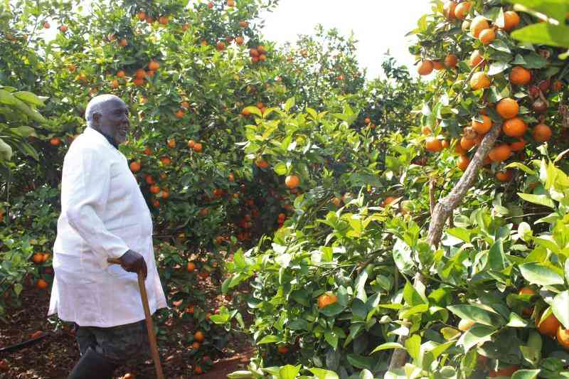 StandardKenya's tweet photo. How teacher built mega pixie farm

https://t.co/0CMktVWtUC https://t.co/JsP9a7ezjn