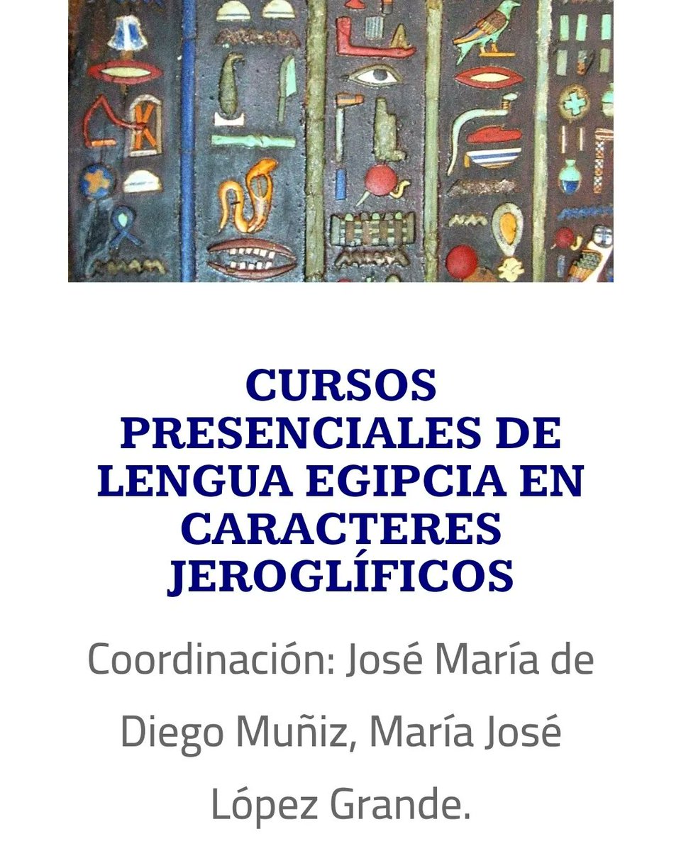 Asociación Española de Egiptología tweet media