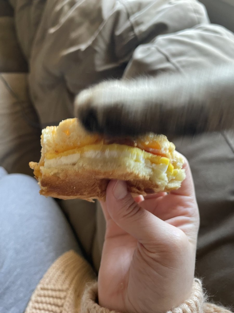 feederofcats's tweet photo. POV you're eating anything containing bread in my house https://t.co/hIa6PlQzf1