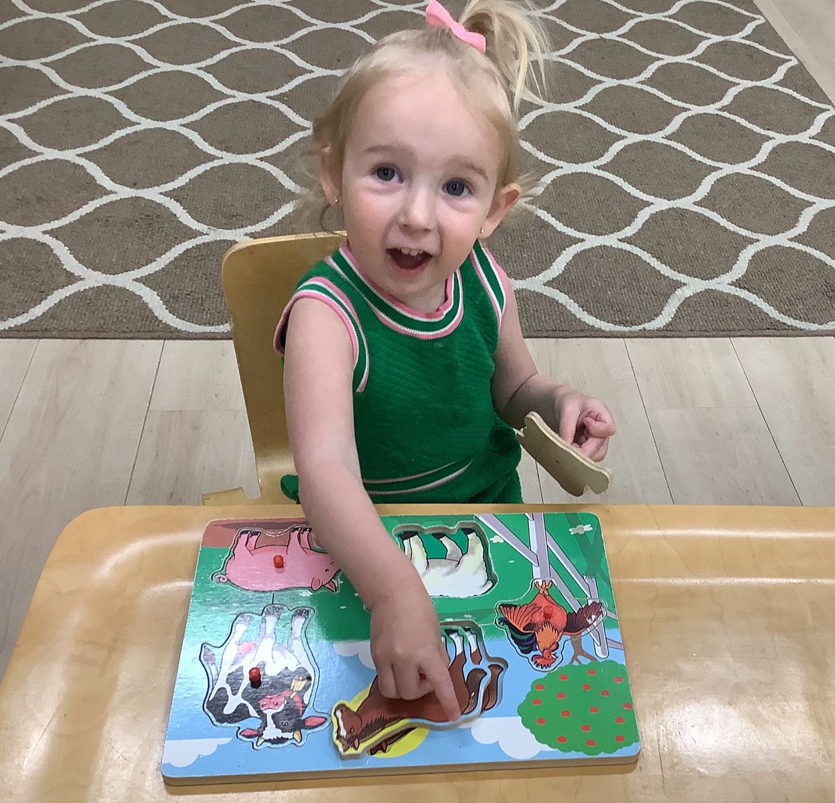 Villa Montessori Leesburg tweet media