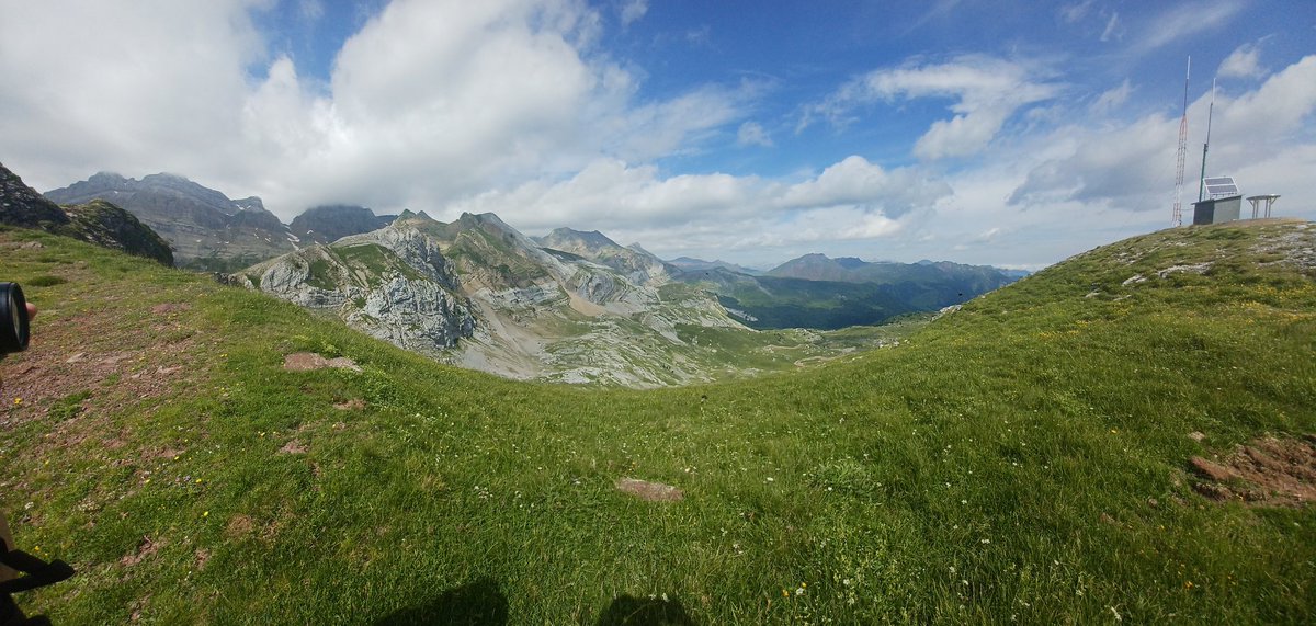 Bethany Wilson tweet media