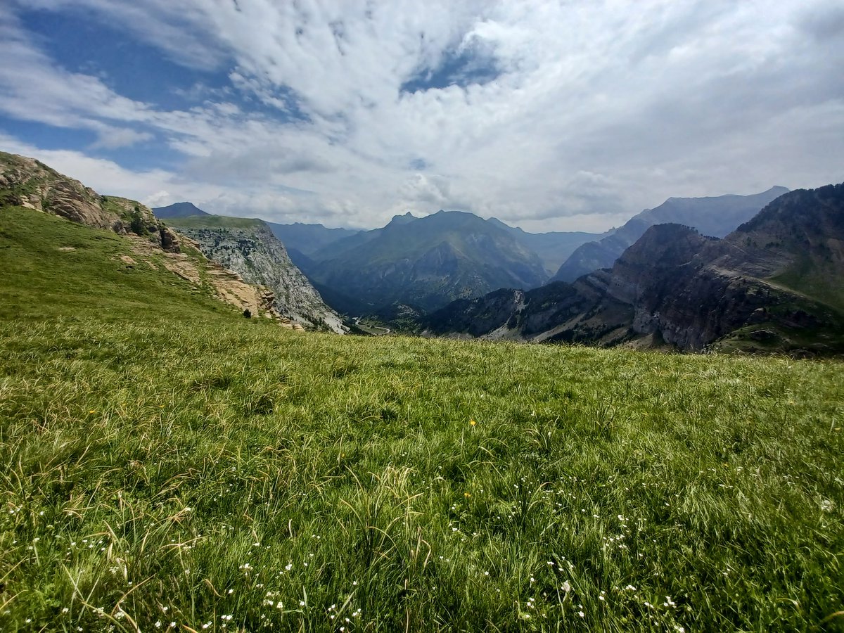 Bethany Wilson tweet media