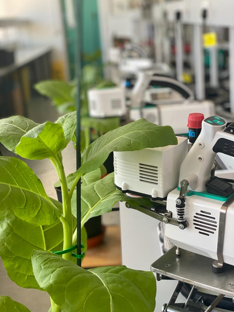 Feeling bittersweet today as I watch the #SEBconference unfold from afar. I hope the guys from
<a href="/PlantEssex/">PlantEssex</a>, <a href="/EPIC_Essex/">EPIC Essex</a>, <a href="/Uni_of_Essex/">University of Essex</a> are having a great time &amp; I'll soak up all conference highlights through tweets.  Wishing everyone an inspiring &amp; knowledge-filled #SEB2023