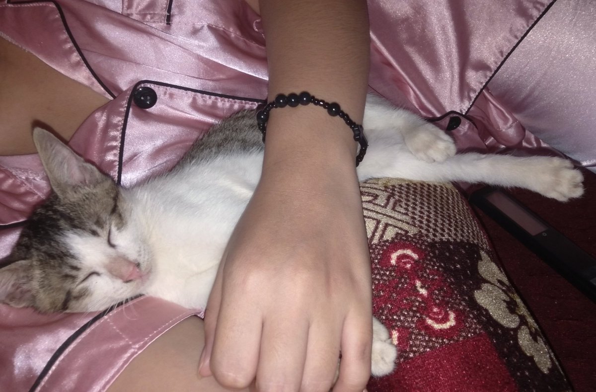 Lalai__G's tweet photo. I miss you so much 😿
#Banana https://t.co/FbaSHHasS6