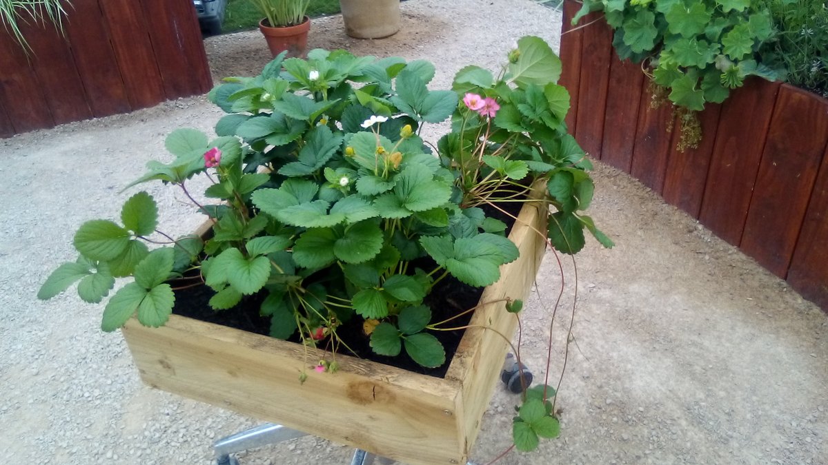 A complete change from Beachcare - was working as a contributor on BBC Morning Live yesterday. Mark Lane-you are a gent. A lovely crew too. Would love to do it again.