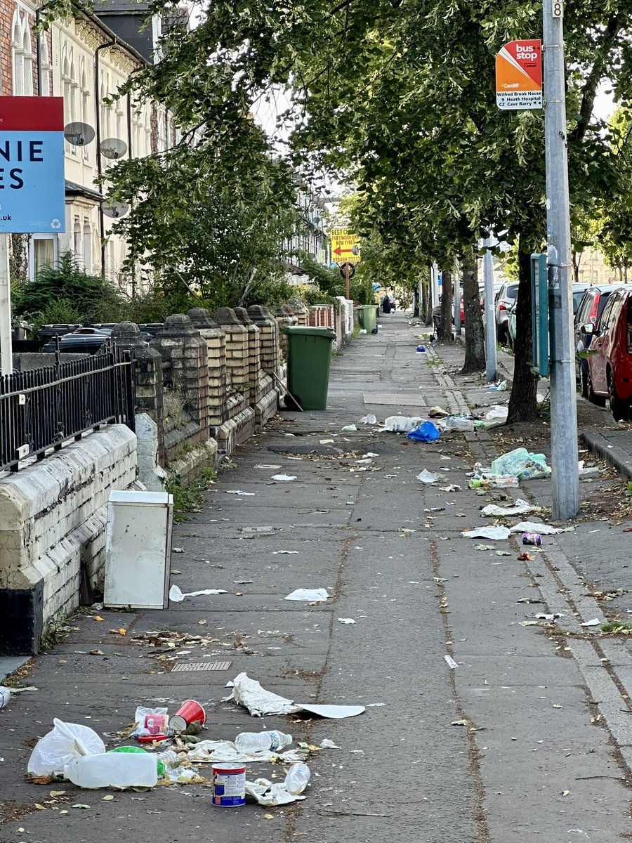 TidyGrangetown's tweet photo. Just another bin day in Grangetown 😱
Green bags not collected (presumably because they contain non-recyclables or food) but no stickers left on them &amp; they’ve been ripped open by gulls. Outside HMOs on Clive St. 
Is anything ever going to change @GrangetownLAB @cardiffcouncil? https://t.co/tQ3p3kM60K