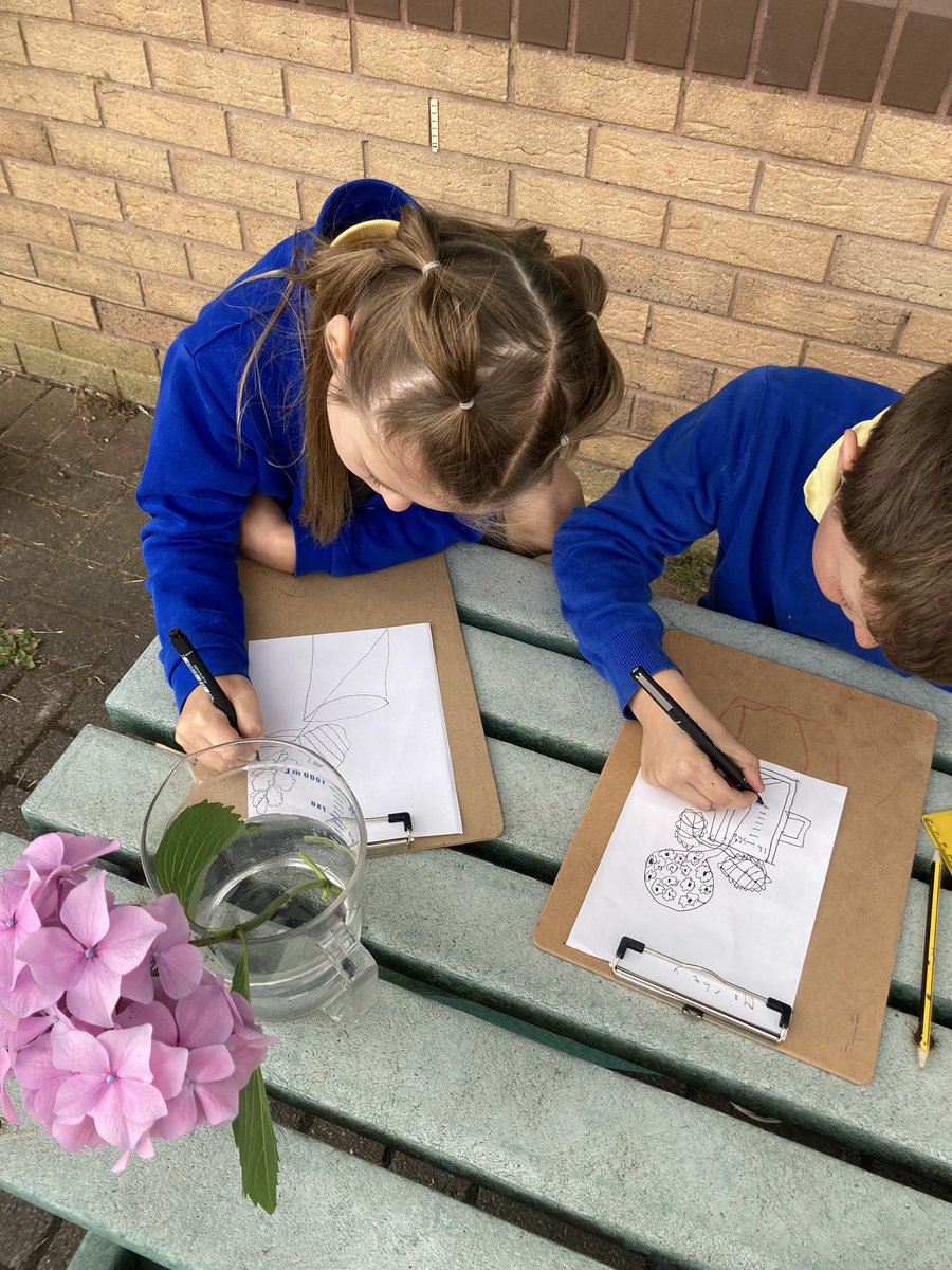 YearThreeBPS's tweet photo. 🎉⭐️ We loved our transition day 
to year four ⭐️ 🎉 https://t.co/1lTM75j1sG