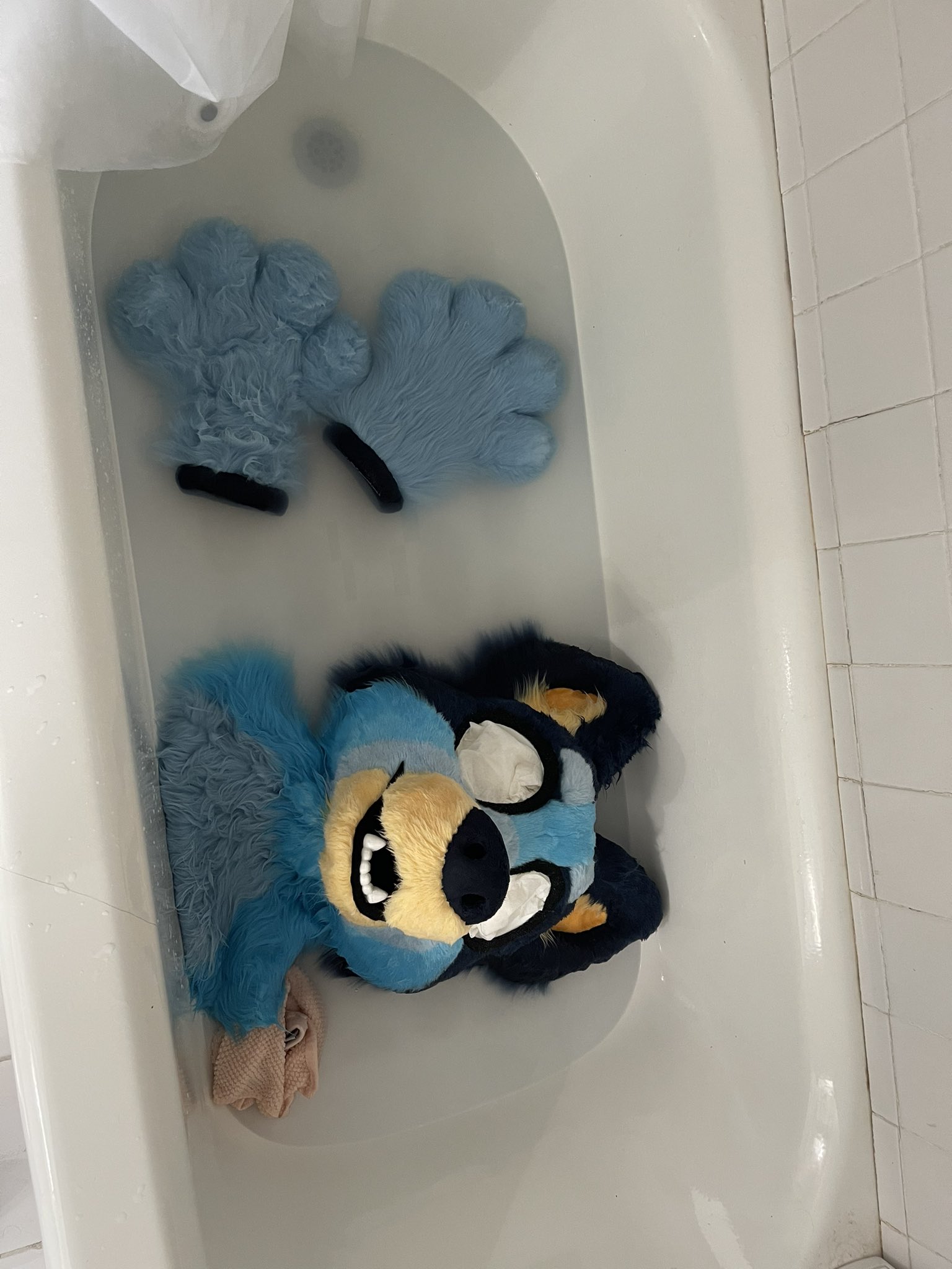 bluey-bath-time-plush-official-website-www-gbu-presnenskij-ru