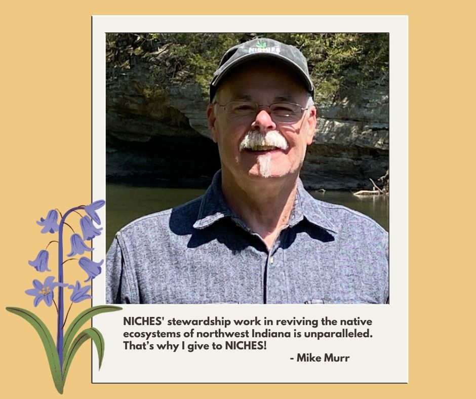 28 years of unparalleled stewardship! NICHES 2023 Birthday Celebration &amp; Campaign! - mailchi.mp/nicheslandtrus…