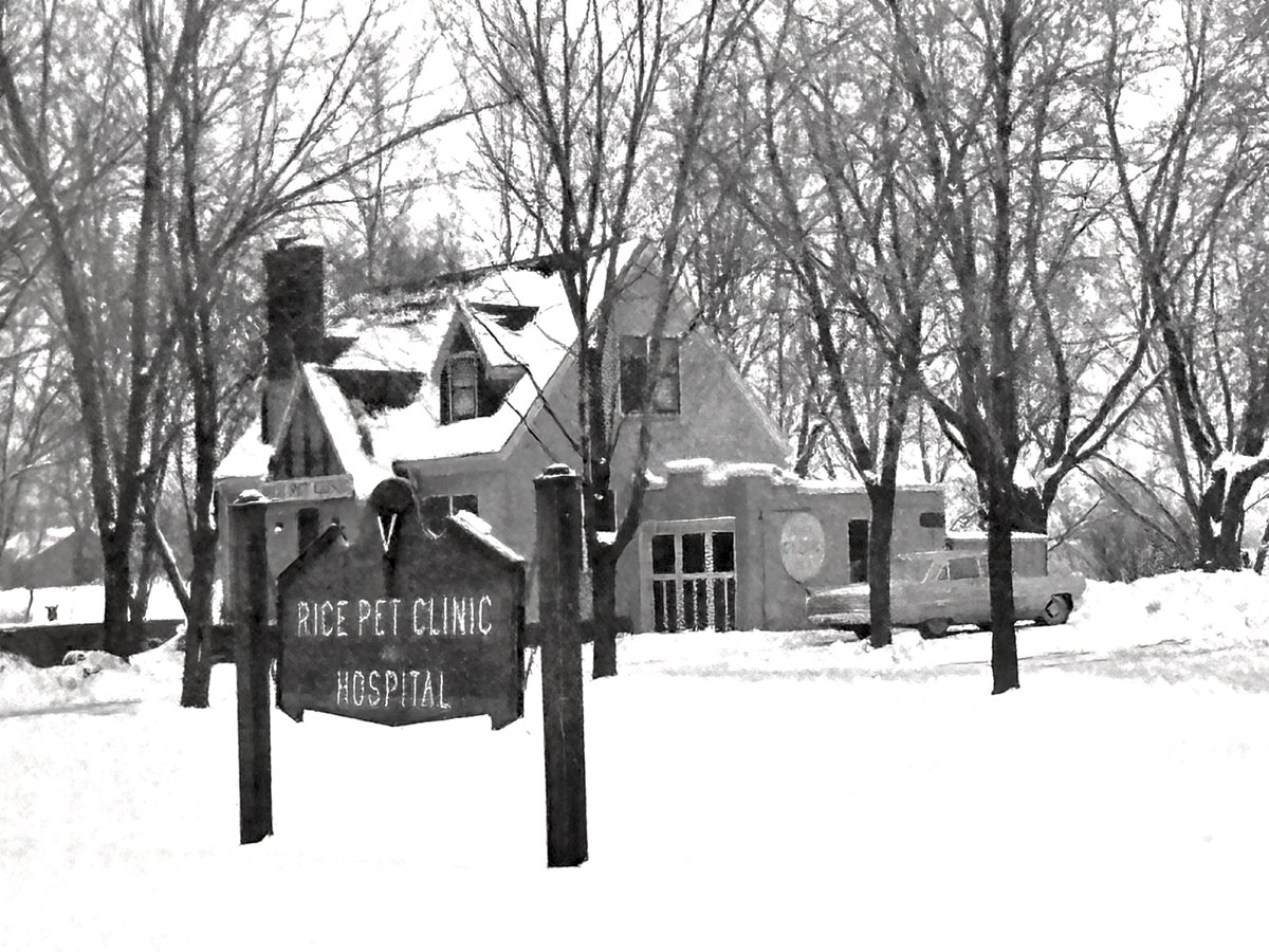 MN_VMA's tweet photo. Three generations of Rice Pet Clinic owners have stayed true to neighborhood roots while devloping with the times. 

Full Newsletter Feature: https://t.co/SM1zP21Nus https://t.co/wggcRsghSG