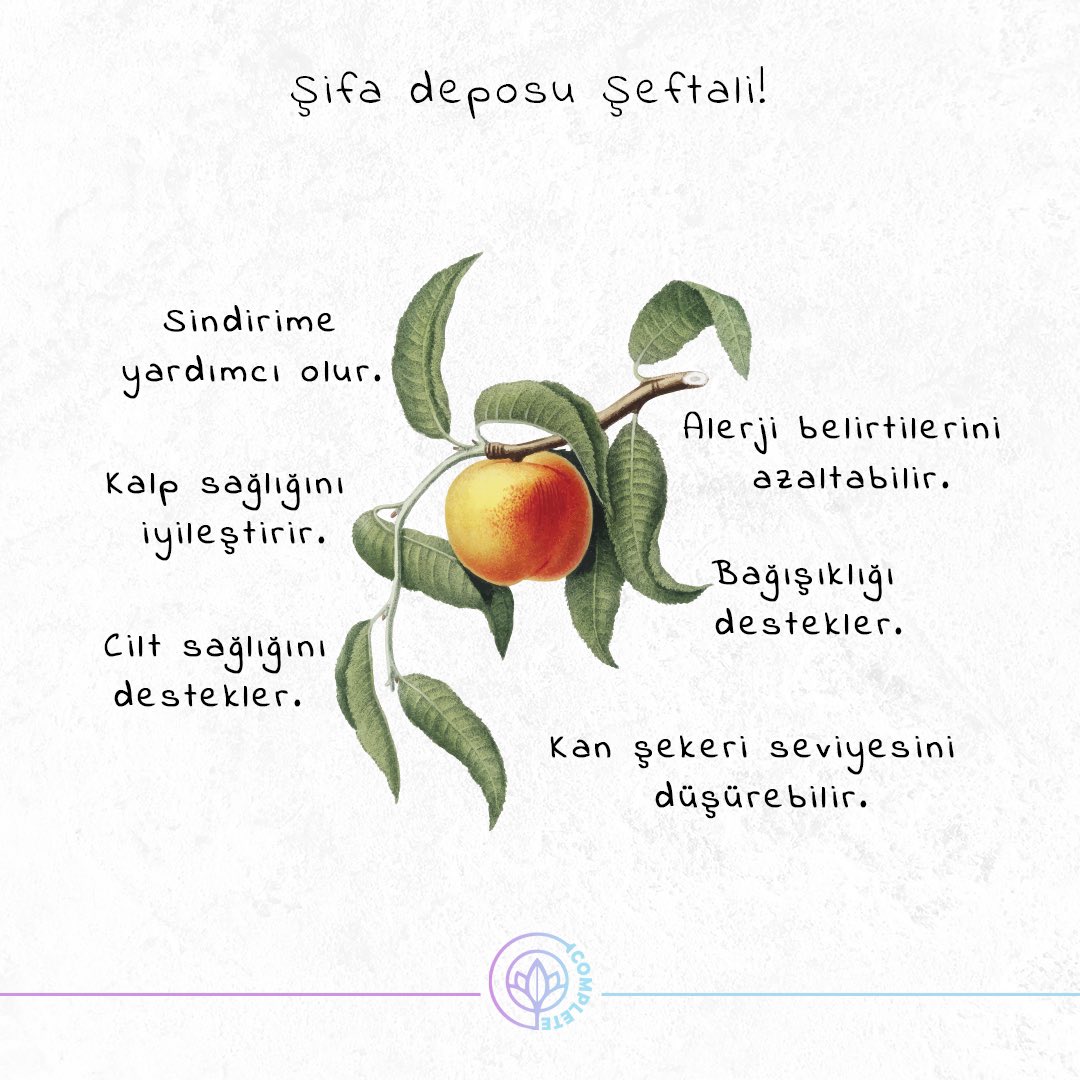 Sıcak havaların serinletici meyvesi şeftalinin faydaları nelerdir?

🍑Lif, vitamin ve mineraller bakımından oldukça zengin olan bu meyve aynı zamanda vücudunu yaşlanma ve hastalıklardan korumaya yardımcı olur.

#complete #beslenme  #sağlıklıbeslenme #şeftalininfaydaları #şeftali