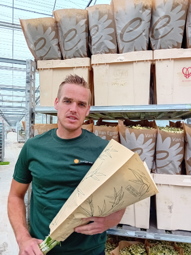 Instead of plastic sleeves around flowers, Van Egmond Matricaria chose sustainable paper ones last year. Grower Johan van Egmond talks about his experiences with the sustainable packaging and highlights the pros and cons. #Sleeves #Sustainability  royalfloraholland.com/en/news-2023/w…
