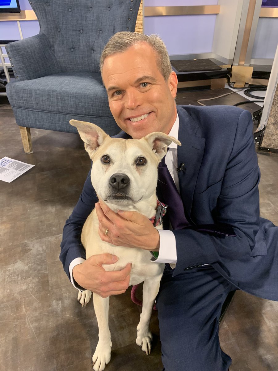 My choice for WAAL Wednesday is this sweetheart named Lacey, who was our Pet of the Week back on April 11th.  You can make her yours by contacting the Wichita Animal Action League.