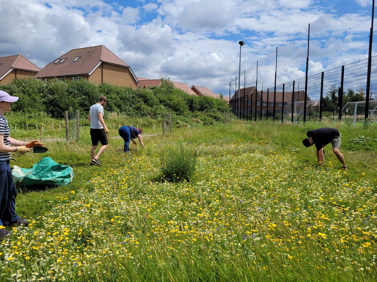 Big thank you to the BT team who came out for @LockleazeGreenGym today to help us maintain our nature area at the sports centre. Trees mulched, beds filled and weeded, creeping thistles removed!
The wildflower meadow has a stunning display of flowers at the moment 🌻
<a href="/TCVtweets/">The Conservation Volunteers (TCV)</a>