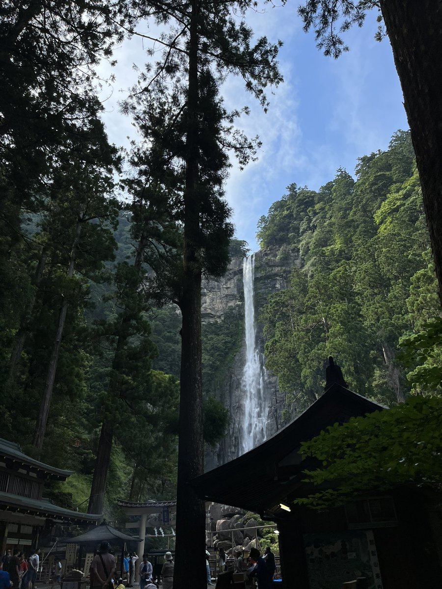 Dandusti's tweet photo. Road tripping in kansai 🚗🌳 https://t.co/lkX9VGEqgl