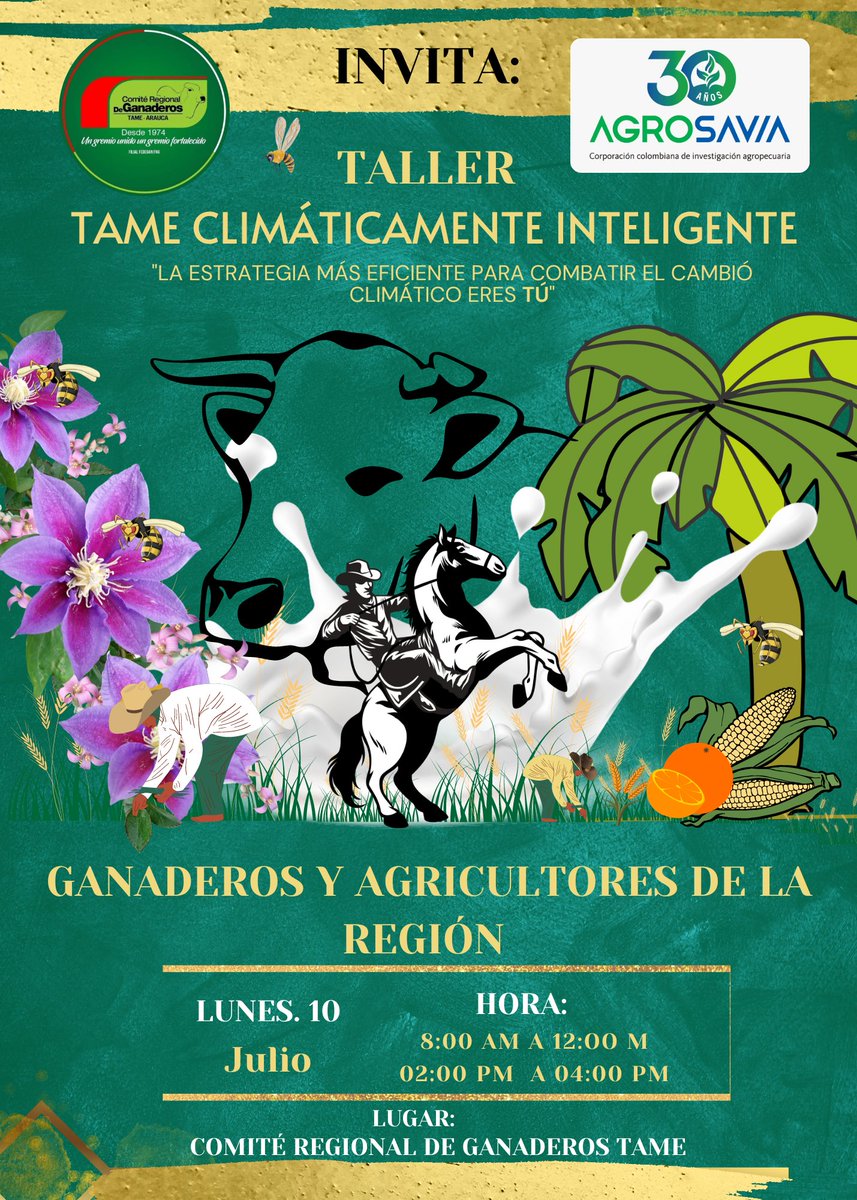 Comité Ganaderos Tame tweet media