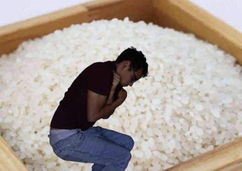 SoyDaniloDiaz's tweet photo. "Meter algo en arroz lo arregla".

Yo: https://t.co/VIZ2Zbf3RV